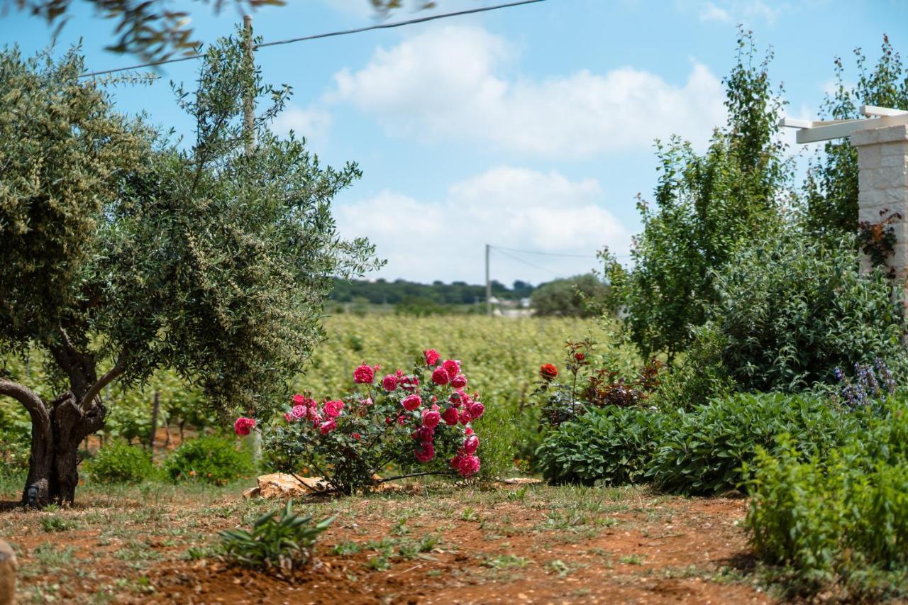 Trulli Audendum Villa Martina Franca Eksteriør bilde